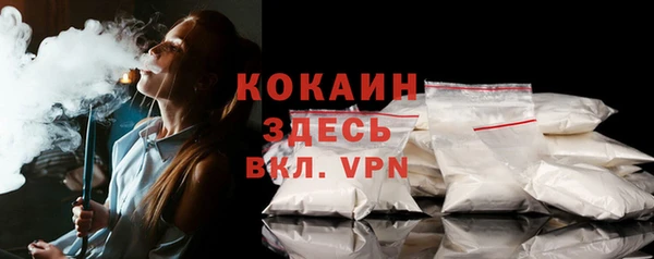 дживик Богородицк