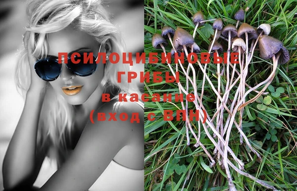 гашик Белоозёрский