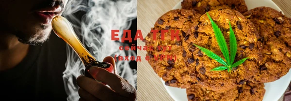 мдпв Заполярный
