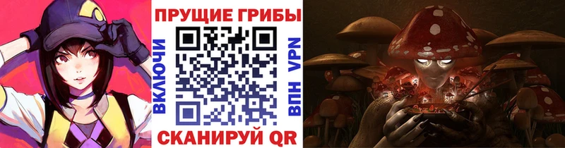 Псилоцибиновые грибы ЛСД  где найти наркотики  ссылка на мегу онион  Высоковск 